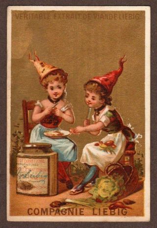 Liebig S - 73 " Pictures Of People Vi - Girls W/hats " Vintage Trade Card 1878 French