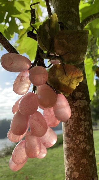 Vintage Chinese Pink Rose Quartz Grapes With Jade Leaves