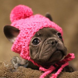 Handmade Crochet Pet Clothes Small Dog Breed French Bulldog Hat Beanie Dress Up