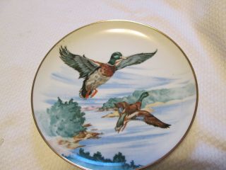 Vintage Ceramic Mallards In Flight Plate With Gold Trim,  8 Inches Japan