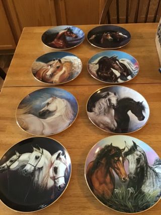 Set Of 8 Danbury Horse Collector Plates By Susie Morton Noble And