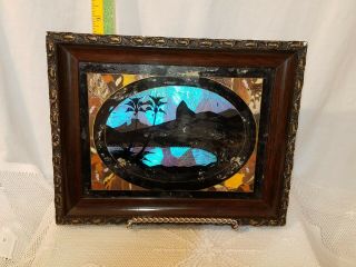 Vintage Brazilian Framed 9 " ×12 " Morpho Butterfly Wing Reverse Painting On Glass