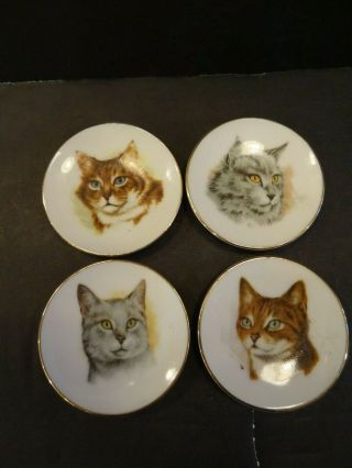 W@w L@@k Vintage Kasuga Wear Mini Porcelain Plates With Cat Portraits