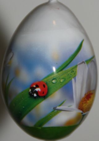 2 Pysanky Gourd Easter Eggs,  Garden Or Christmas Ornaments With Ladybugs