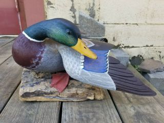 Outstanding William Veasey Duck Decoy Mallard Drake Wood Carved