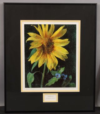 Authentic Vintage Pencil Signe Henriette Wyeth Artist Proof Sunflower Lithograph