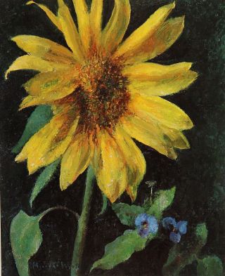Authentic Vintage Pencil Signe Henriette Wyeth Artist Proof Sunflower Lithograph 3