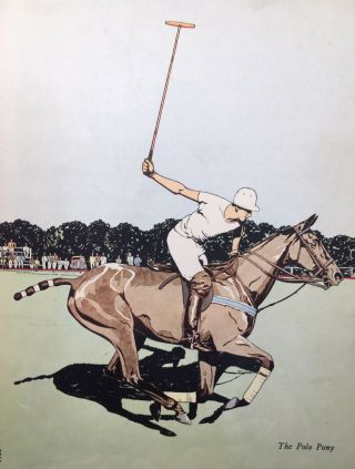 Awesome Vintage 1938 Polo Pony Match Horse Art Print