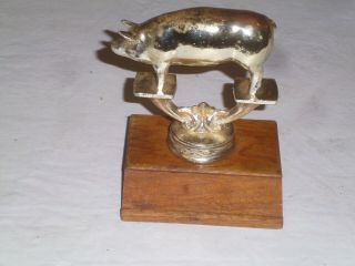 Vintage Pig Trophy Gold Tone Metal W/wooden Base 4.  5 " Tall County Fair