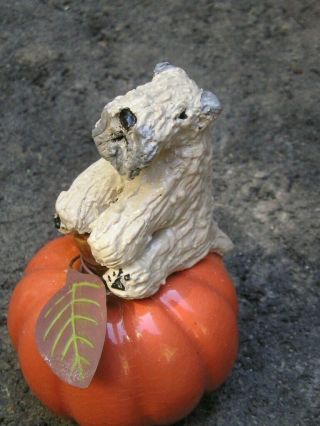 Soft Coated Wheaten Terrier On A Ceramic Pumpkin