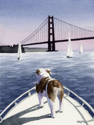 Bulldog Painting Golden Gate Bridge Dog 8 X 10 Art Print Signed By Artist Djr