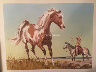 Wild Mustang Paint Horse Western Art Print By Sam Savitt Gorgeous 1962