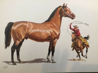 Morgan Horse Western Saddle Art Print By Sam Savitt Gorgeous 1962