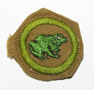 Zoology Merit Badge Type C Boy Scouts Of America Bsa 1940 