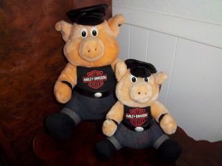 2 Official Harley Davidson Motorcycle Bike Hogs Pigs Father & Son Awesome Set
