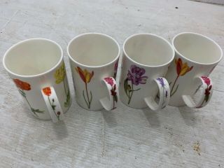Dunoon Mug Set Florabunda - Kathy Pickles Fine Bone China - England Floral