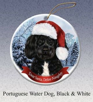 Define Naughty Ornament - Portuguese Water Dog