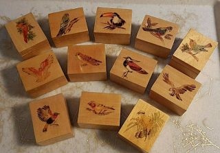 Tiny Wood Trinket Jewelry Boxes With Birds,  Wood Burning,  Pyrography