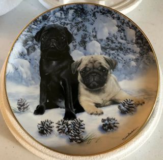 Snow Pugs Danbury Limited Edition 8 " Porcelain Plate By Simon Mendez