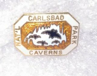 Vintage Carlsbad Carlsbat Caverns National Park Enamel Lapel Pin Bat