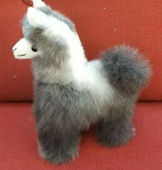 Alpaca Bb Fur Peruvian Handmade Llama (9 X 6 Inches) Photograph