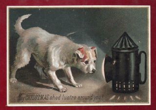 Victorian Dog By Lamplight Christmas Greeting Card