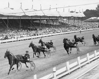 Horse Harness Racing At Hambletonian Stakes 8x10 Silver Halide Photo Print