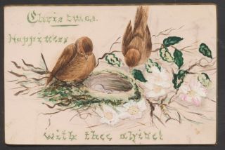 C10316 Victorian Hand Painted Xmas Card: Birds & Nest