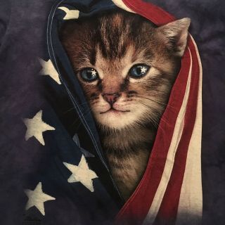 Patriot Kitten Cat Flag T - Shirt By The Mountain - Art Chelsea Nickerson - (m)