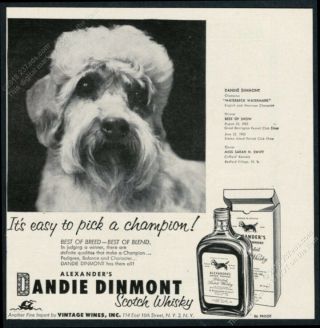 1953 Dandie Dinmont Terrier Dog Photo Dandie Dinmont Scotch Whisky Print Ad