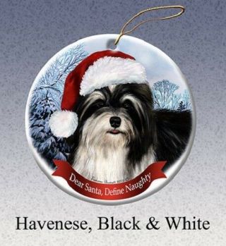 Define Naughty Ornament - Black And White Havanese 136