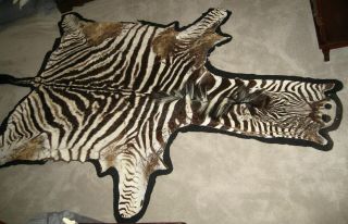 Vintage Authentic Zebra Skin Or Hide Felt Backed Rug 10 