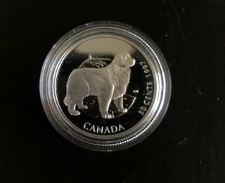 Newfoundland Dog Canadian Coin