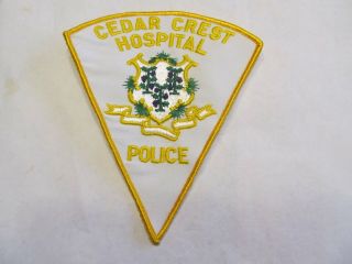 Connecticut State Cedar Crest Hospital Police Patch Old Cheese Cloth