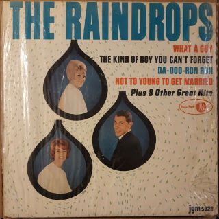 The Raindrops Self Titled Lp With What A Boy Jubilee Jgm 5023 Mono 1963