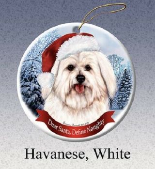 Define Naughty Ornament - White Havanese