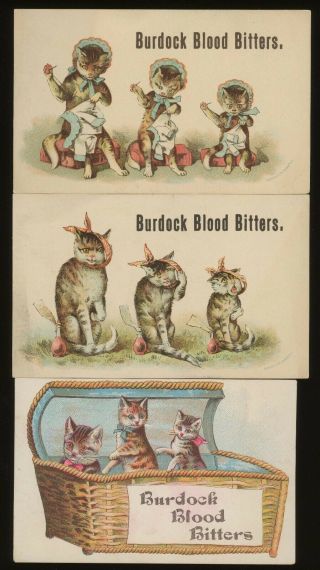 1880s Three Cats Burdock Blood Bitters Trade Card Buffalo Ny Beacon Litho