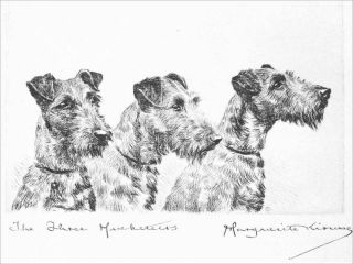 Irish Terrier Dogs 1925 Marguerite Kirmse 8 Large Blank Note Cards