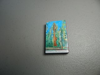 Vintage Sequoia Kings Canyon National Park Ca.  Match Box