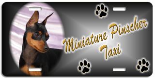 Miniature Pinscher Black & Tan Taxi Line License Plate ( (low Price))
