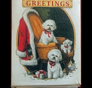 Bichon Holiday Cards By Telia Hanks