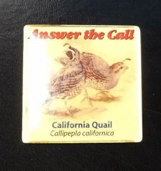California Quail Bird Answer The Call 1.  25 " Lapel Pin