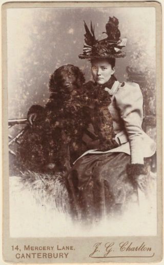 Orig Victorian Cdv Carte De Visite Photo Woman With Dogs Photograph,  Canterbury