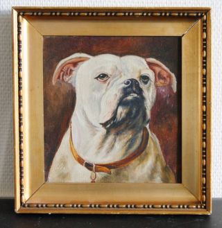 " Two Portraits Of Bulldogs "