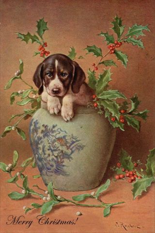 German Shorthaired Puppy Dog By C Reichert Large Blank Christmas Cards