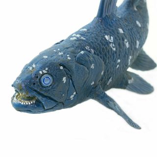 Wild Safari Prehistoric World Coelacanth Safari Ltd Educational Toy Figure
