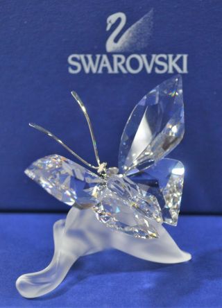 Swarovski Crystal Butterfly on a Leaf Figurine and Certificate 3