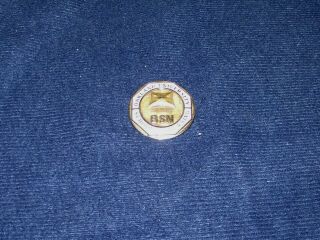 Oakland University School Of Nursing Bsn 10k Gold Pin 6.  7 Grams
