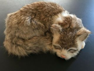 Sleeping Gray & White Cat Real Rabbit Fur 9 " X 6 " Figure Realistic Lifelike