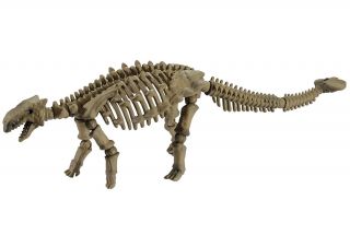 Pose Skeleton Dinosaur Action Figure 106 Ankylosaurus Re - Ment Japan